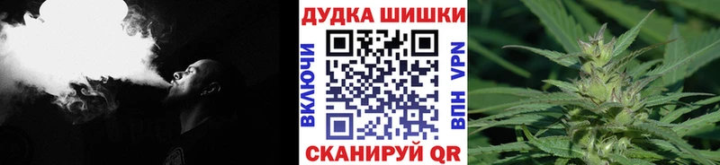 Купить закладки  Заволжск  Бошки марихуана тримм 